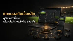 แทงบอลกับเว็บหลัก