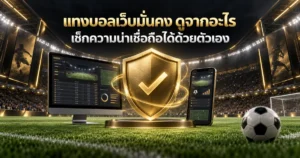 แทงบอลเว็บมั่นคง